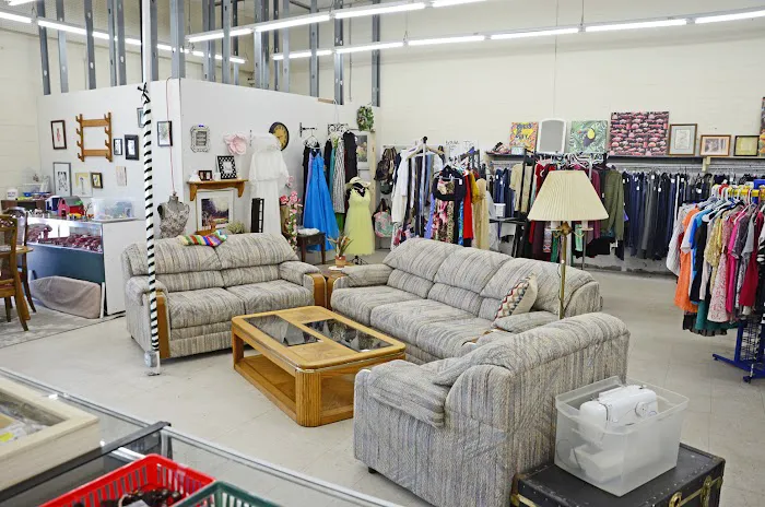 Thrifter's Oasis 4