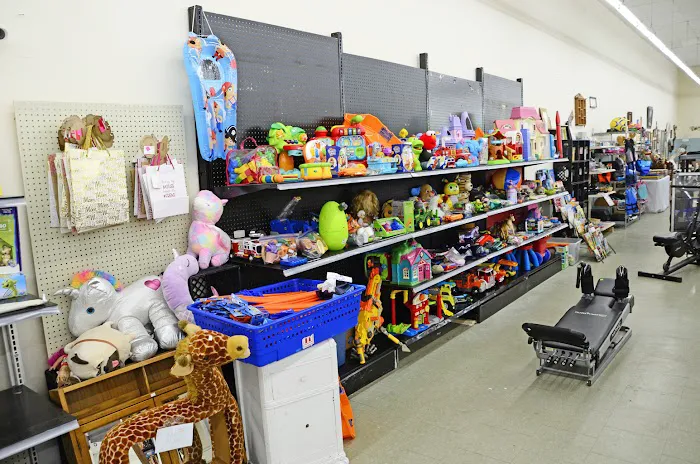 Thrifter's Oasis 1