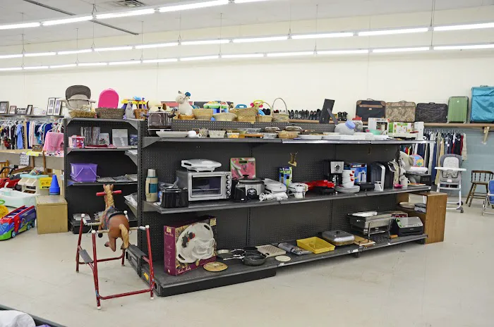Thrifter's Oasis 7