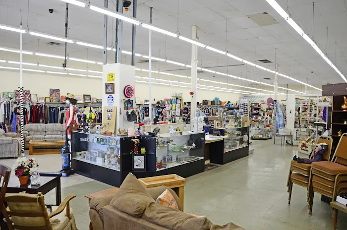 Thrifter's Oasis 0