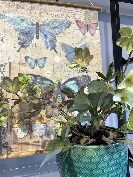 Plumeria Botanical Boutique 1