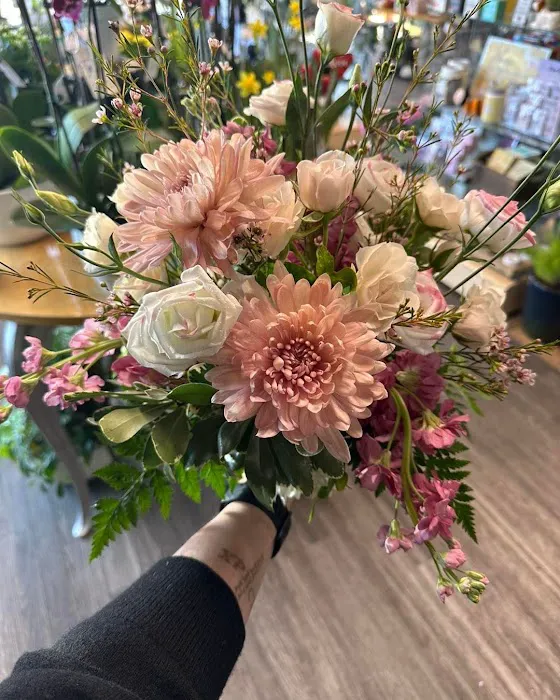 Plumeria Botanical Boutique 8