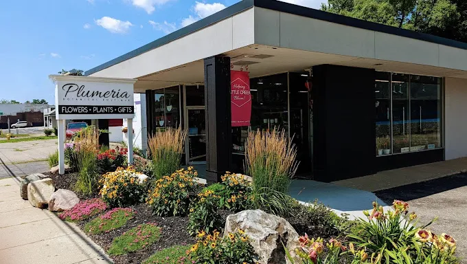 Plumeria Botanical Boutique 5
