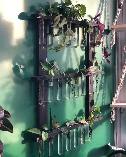 Plumeria Botanical Boutique 4