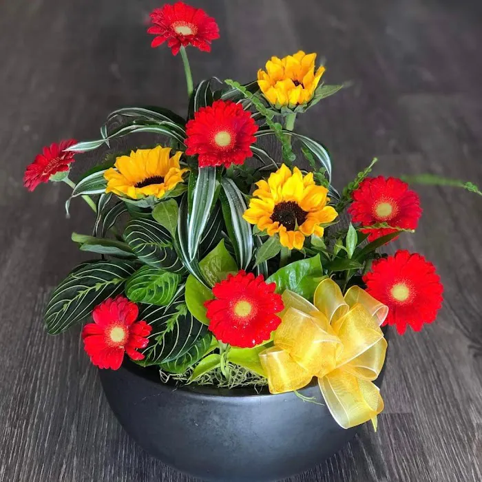Plumeria Botanical Boutique 1