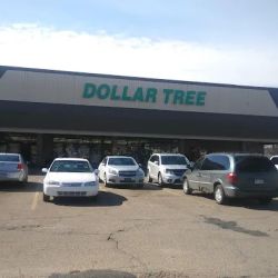Dollar Tree ico