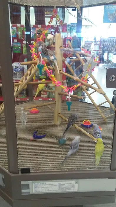 Petco 0