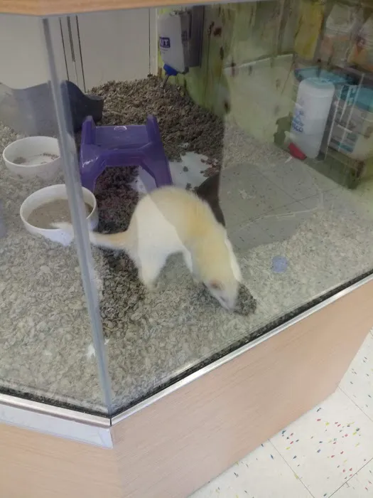 Petco 2
