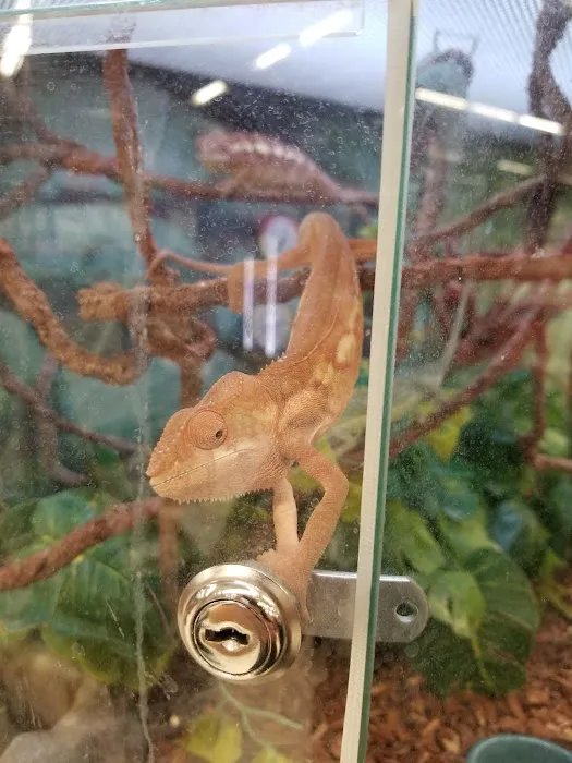 Petco 3