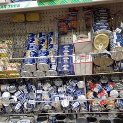 Dollar Tree ico