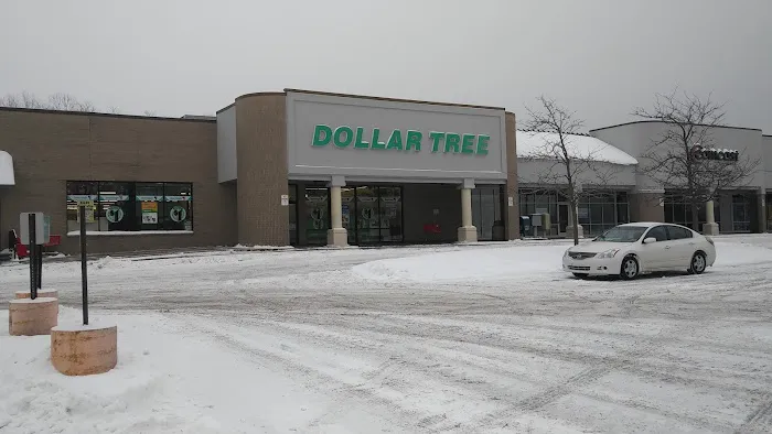 Dollar Tree 2