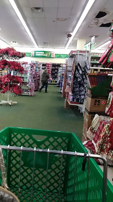 Dollar Tree 9