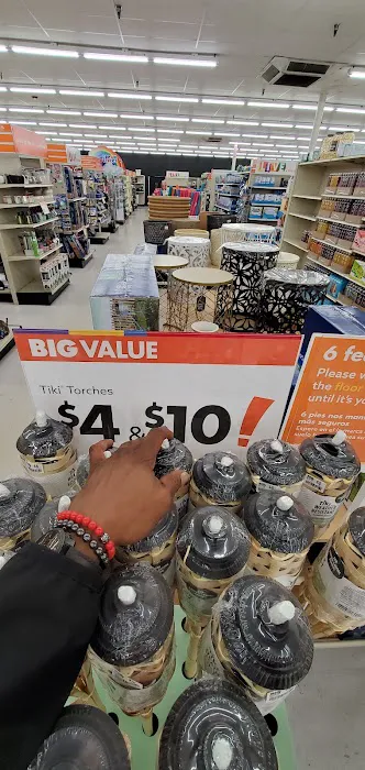 Big Lots 1