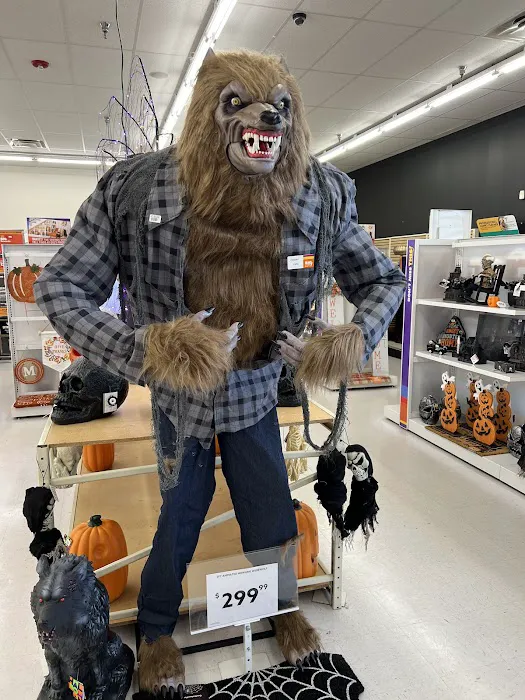 Big Lots 4