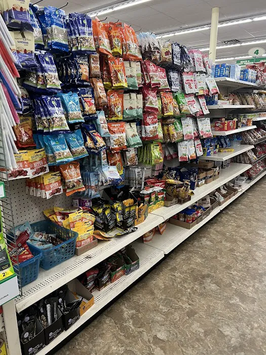 Dollar Tree 2
