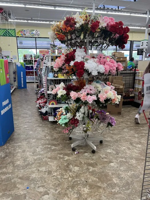 Dollar Tree 5
