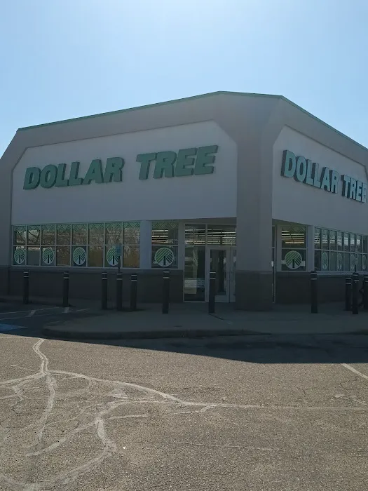 Dollar Tree 4