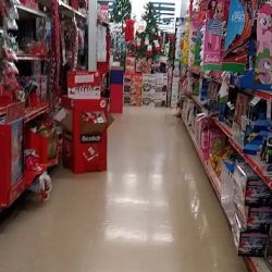 Family Dollar ico