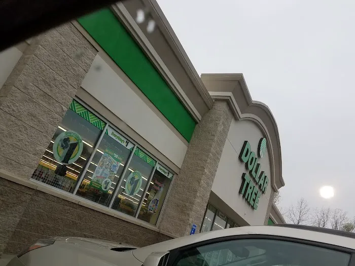 Dollar Tree 3