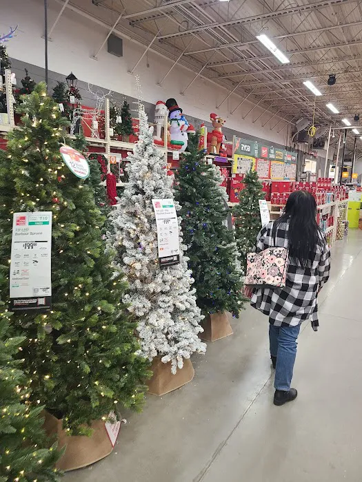 The Home Depot 6