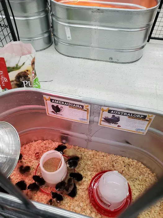 Tractor Supply Co. 2
