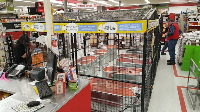 Tractor Supply Co. 7