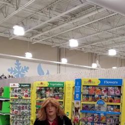 Meijer ico