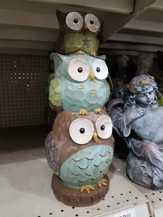 Menards 1