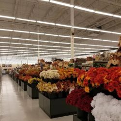 Hobby Lobby ico