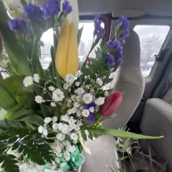 Polderman's Florist & Garden ico