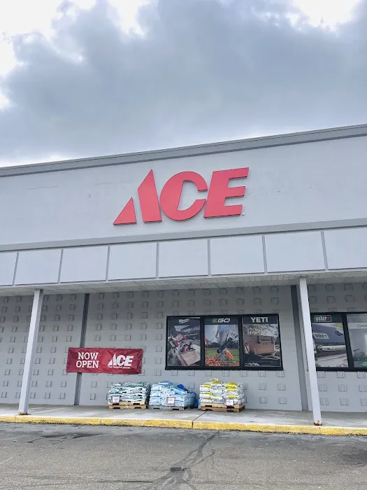 Battle Creek Ace Hardware 4