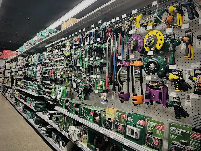 Battle Creek Ace Hardware 1