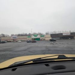 Dollar Tree ico
