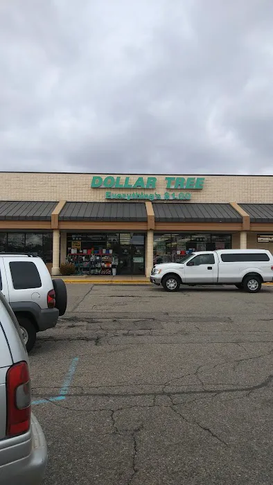 Dollar Tree 6