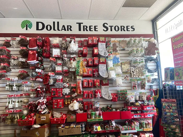Dollar Tree 4