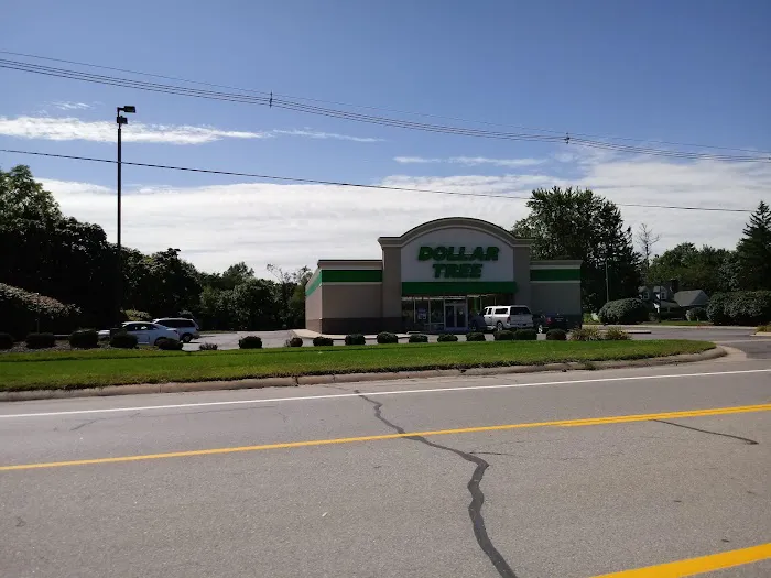 Dollar Tree 6