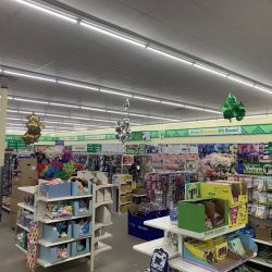 Dollar Tree ico