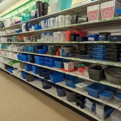 Dollar Tree ico
