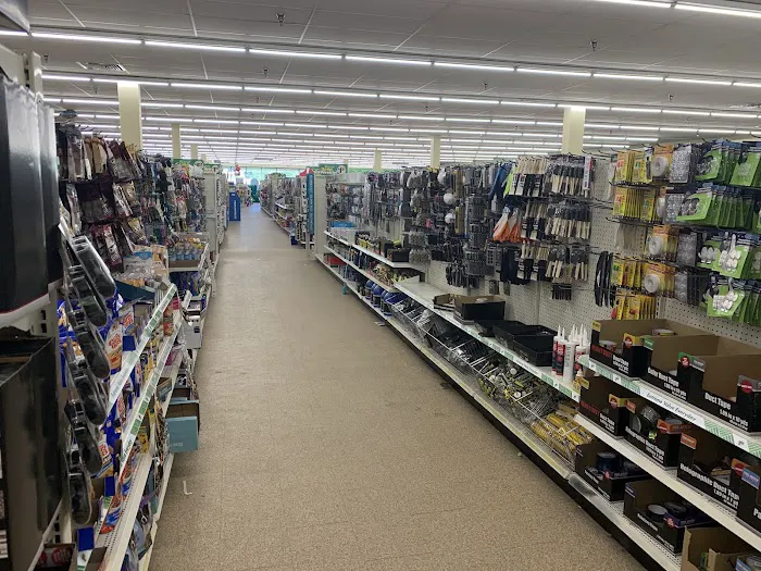 Dollar Tree 8