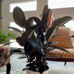 DeVine’s Flowers & Botanicals ico