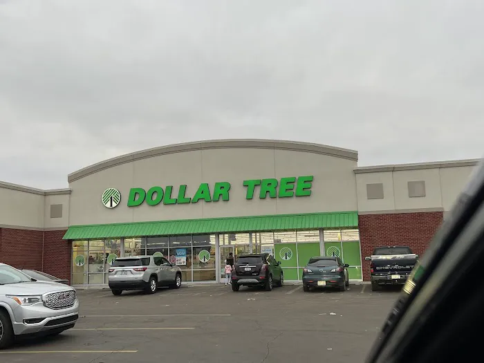 Dollar Tree 4