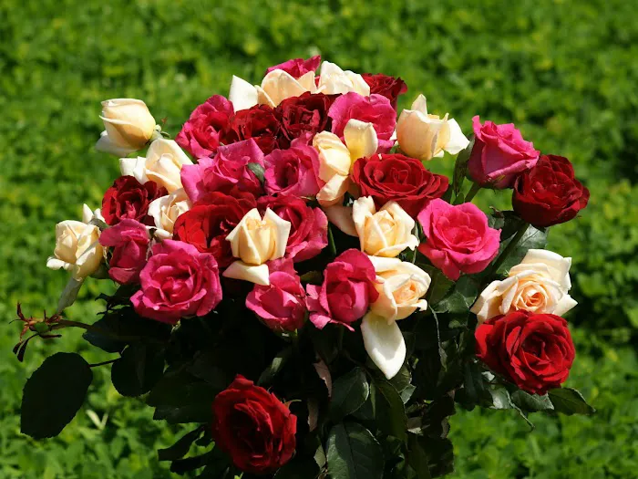 Hometown Floral & Gifts 5