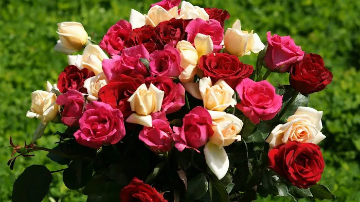 Hometown Floral & Gifts 4