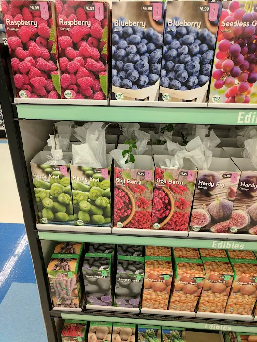 Meijer 9