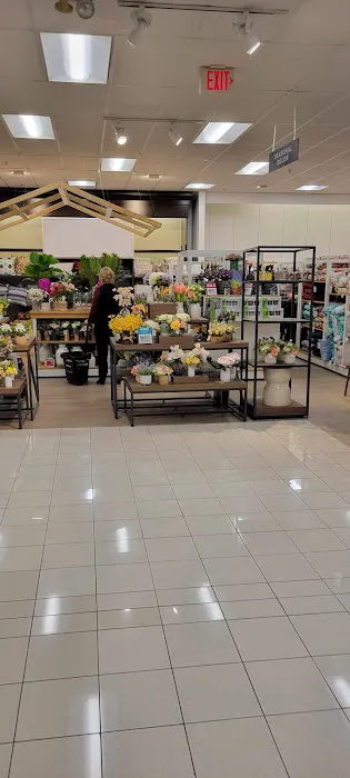Kohl's 7