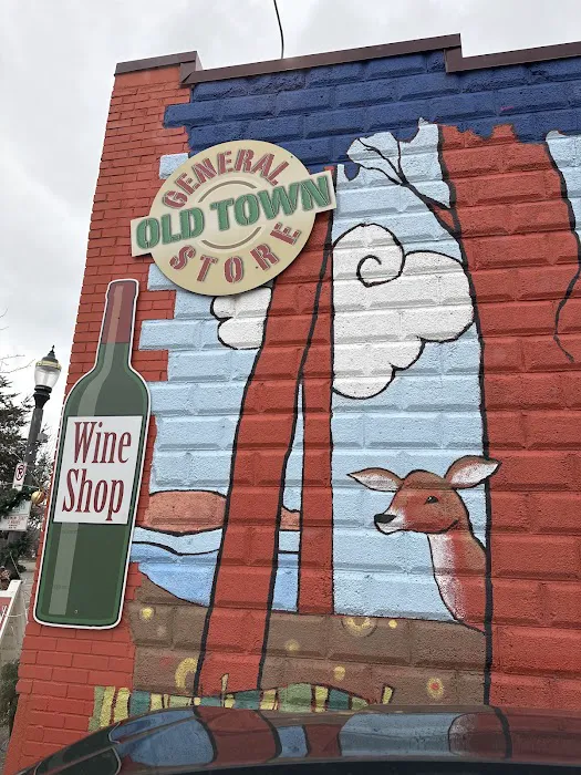 Old Town General Store 9
