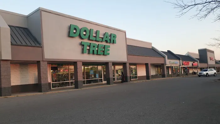 Dollar Tree 5