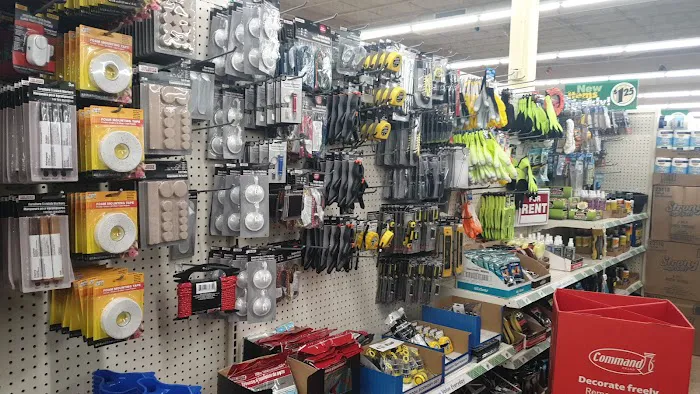Dollar Tree 3