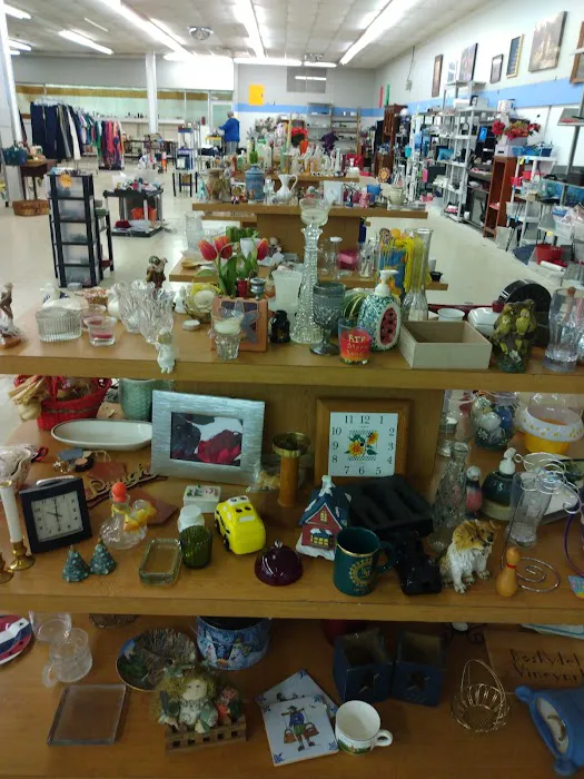 New N Used Goodies $1 Thrift Store 6