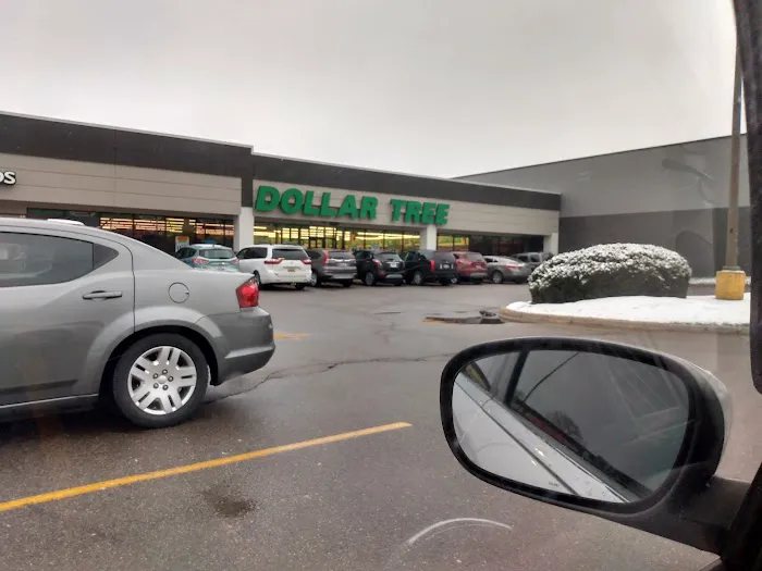 Dollar Tree 8